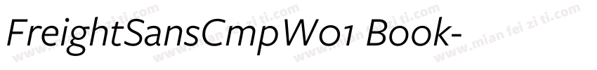 FreightSansCmpW01 Book字体转换